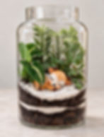 This is what your Terrarium will look like! All supplies will be provided.