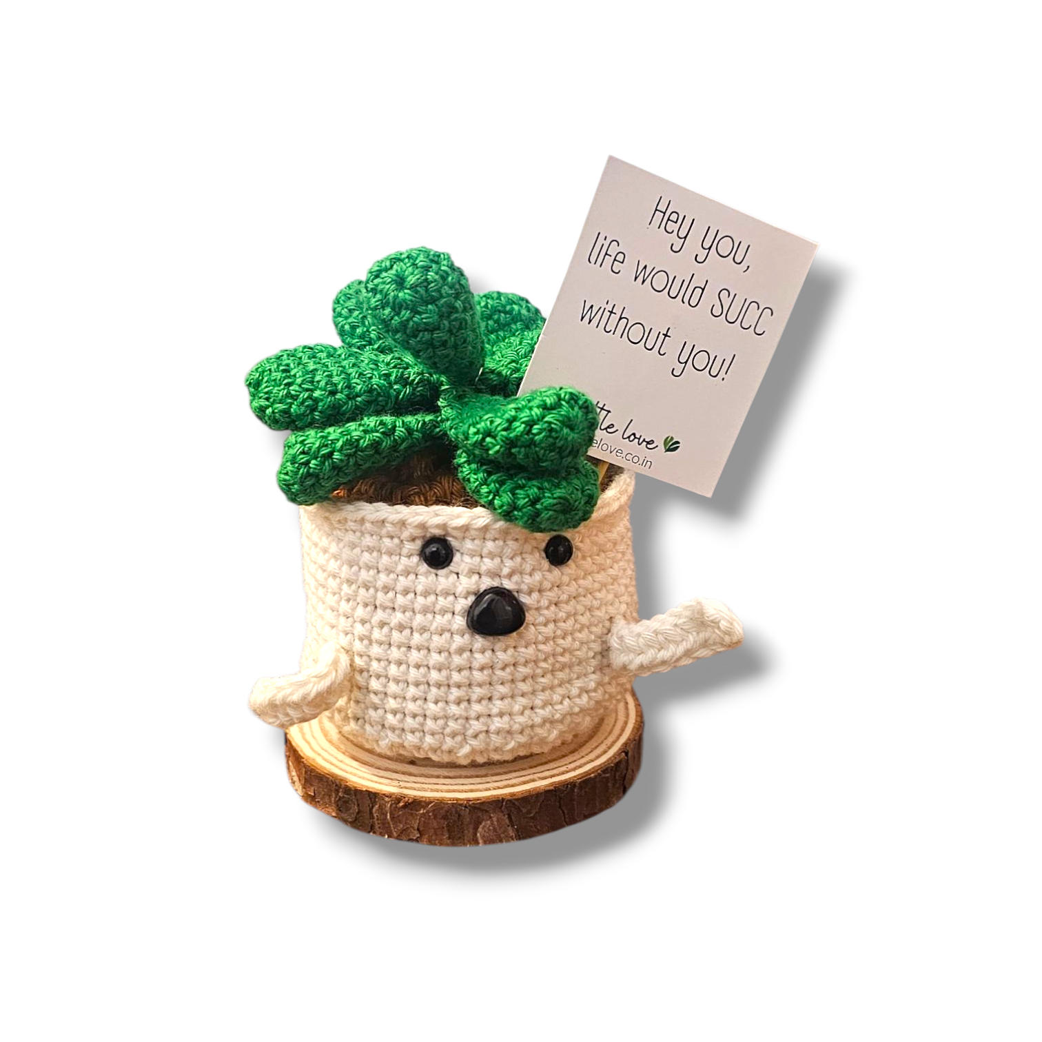 Hand-Crochet Succulent Plant – No Watering, Zero Maintenance Desk Decor