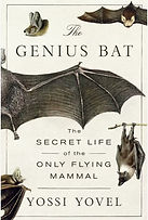 The genius bat.jpg