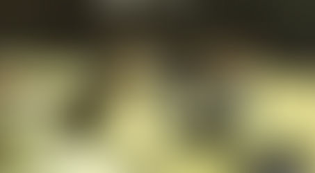 今日もみんなで緊急！