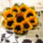 tournesol couronne