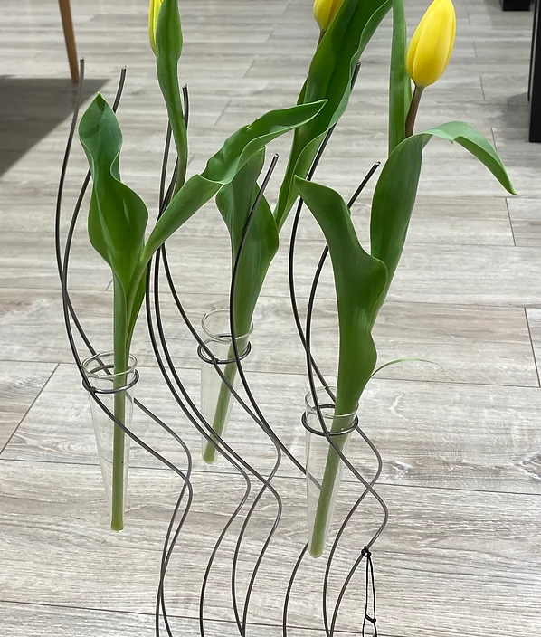 offres et arrivages fleurs passion v
