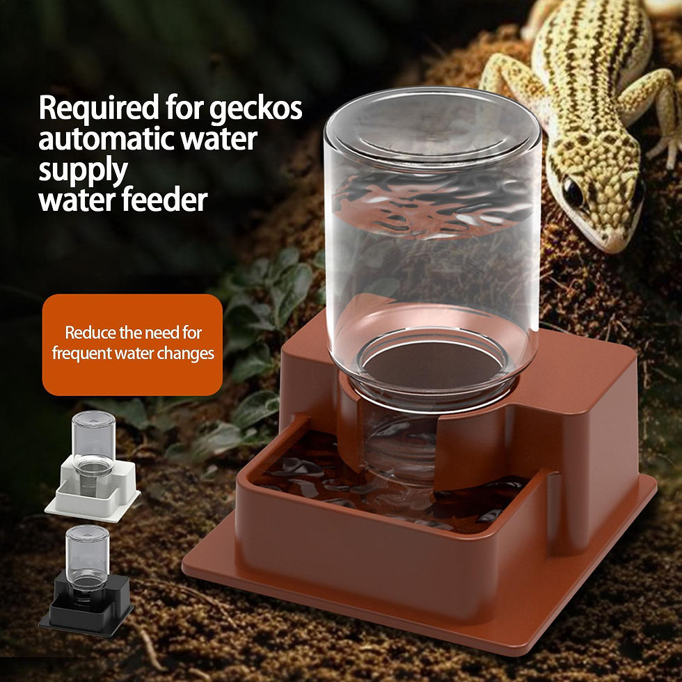 Miniatura: Alimentador Automático para Répteis, Tigela Desmontável para Répteis, Bebedo