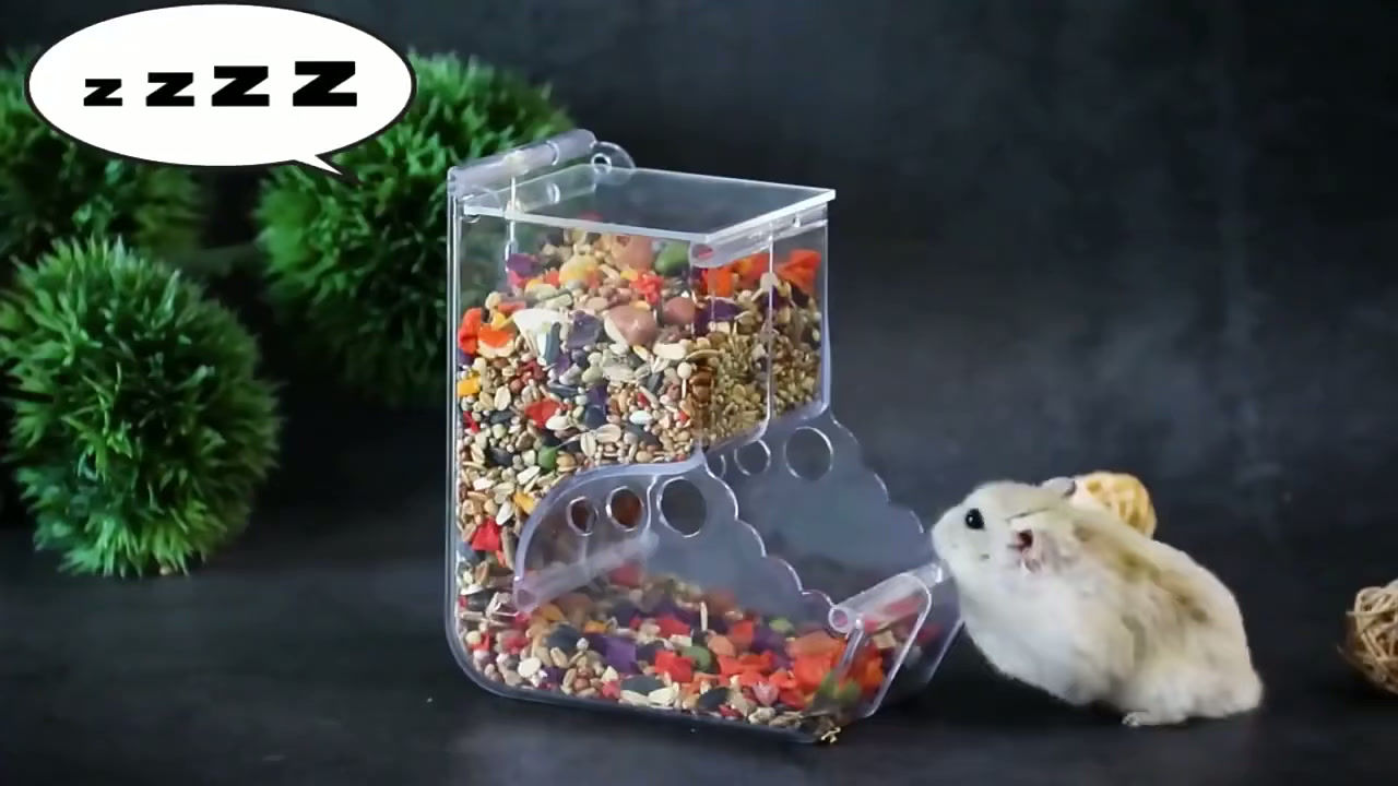 Alimentador Automático Transparente para Hamsters e Pequenos Animais🐾