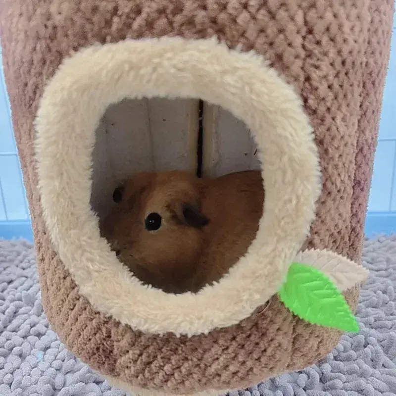 Miniatura: Rede quente de hamster em forma de coto de árvore, túnel de toupeira de invern