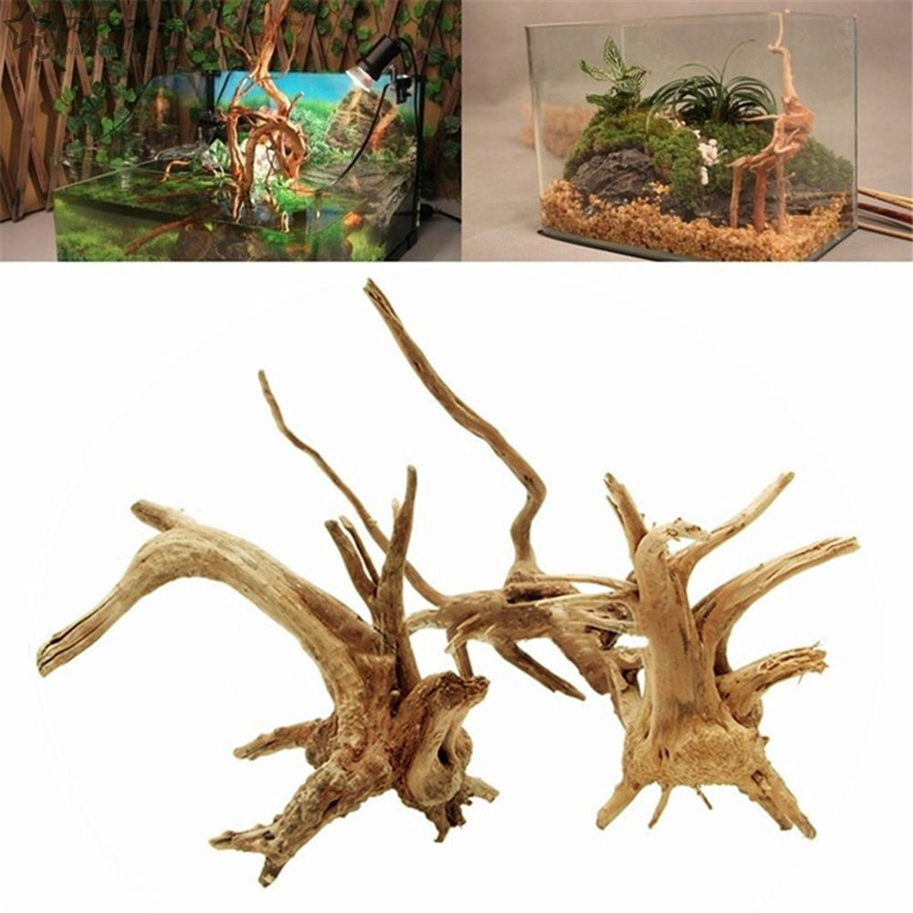 Decorações De Tanque De Peixes De Madeira Natural, Planta Stum Árvore Tronco