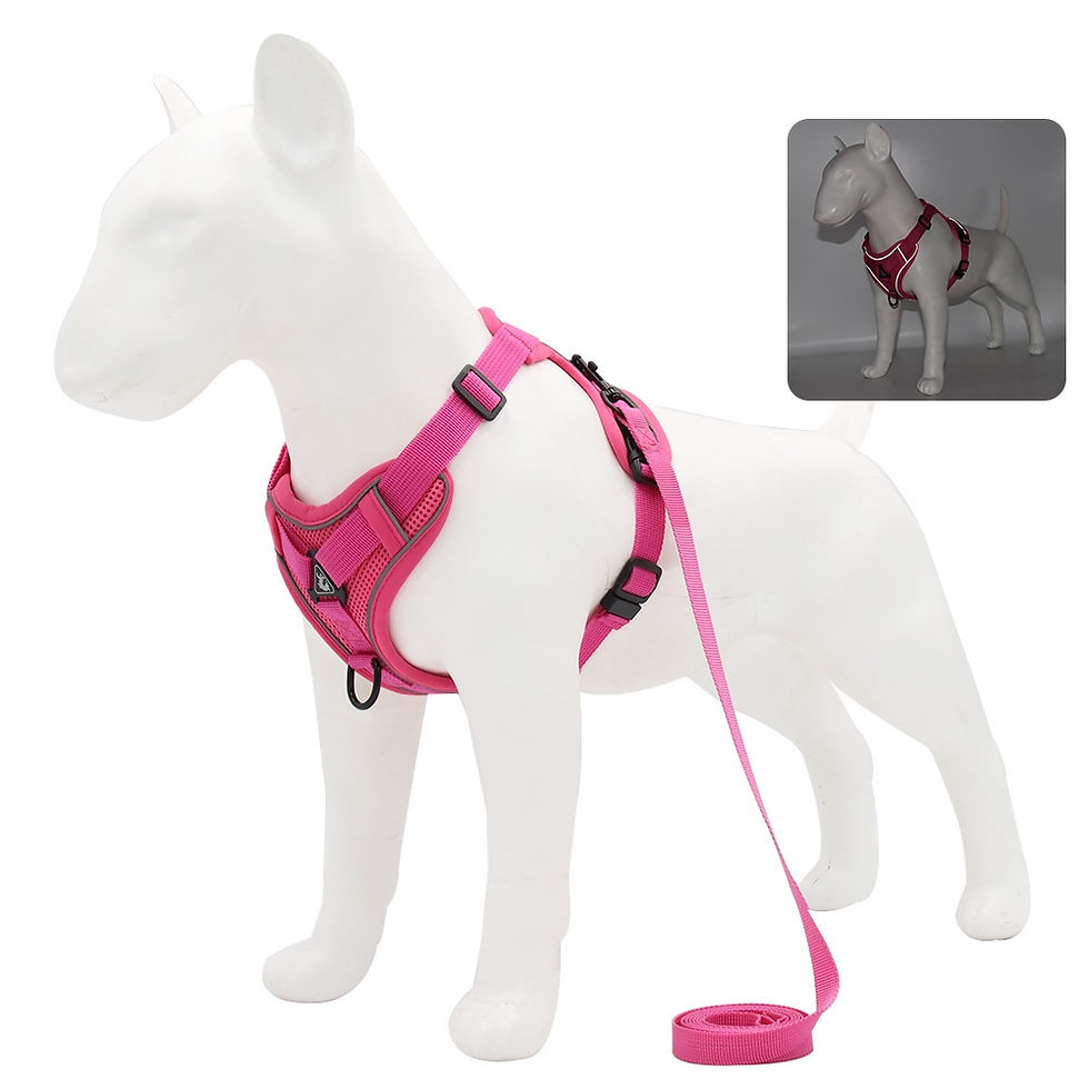 Miniatura: Conjunto de arnês e coleira para animais de estimação, acessórios para cães