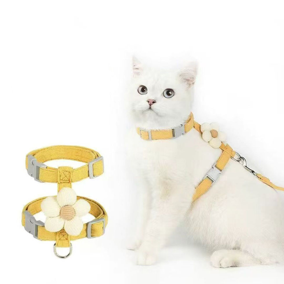 Miniatura: Conjuntos de arnês e coleira para gatos, arnês ajustável para cães pequenos,
