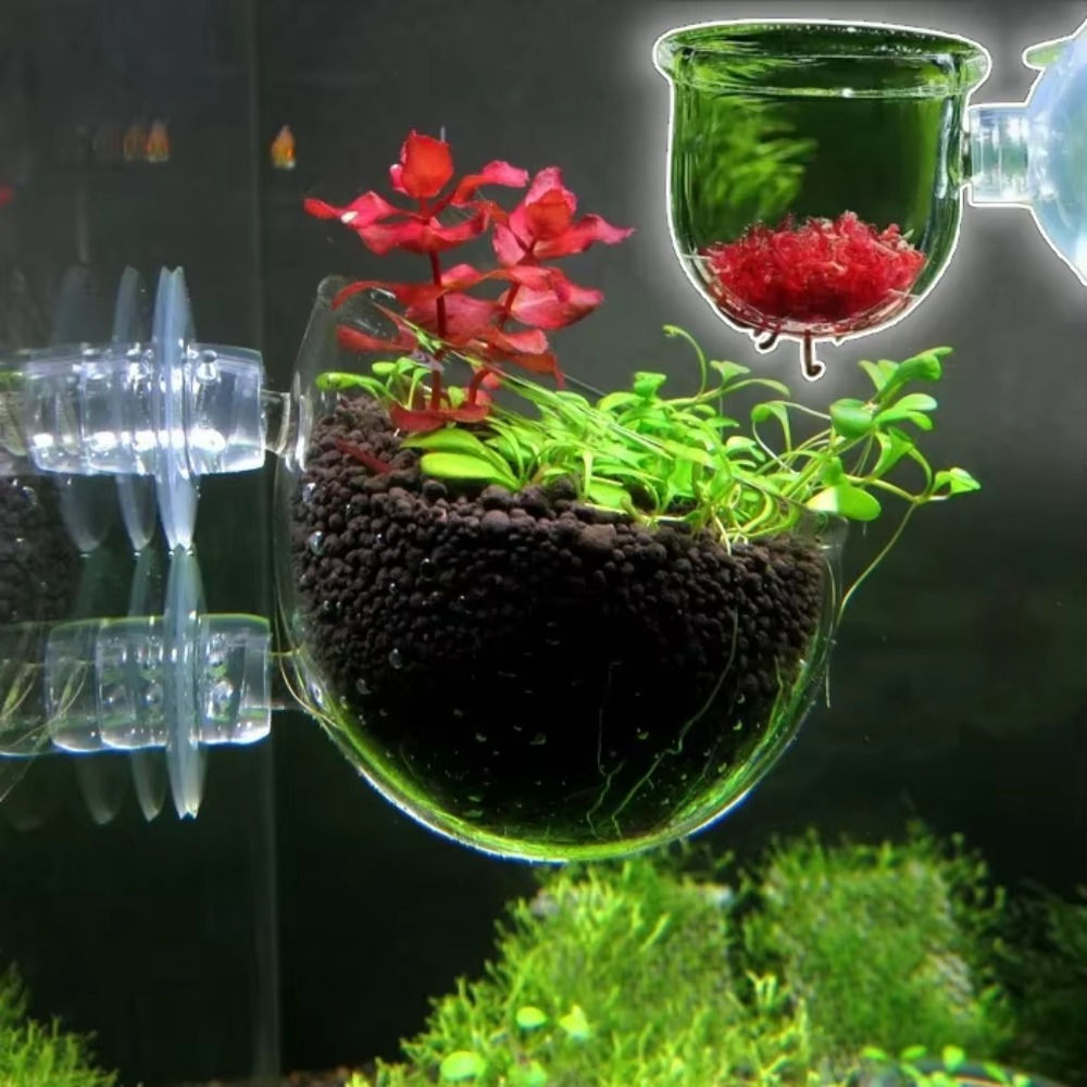 Alimentador de peixes waterdash berçário pote de vidro decoração do aquário