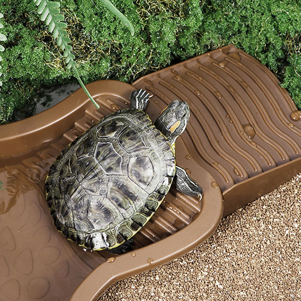 Miniatura: Piscina de banho para répteis com rampa, banheira de imersão de tartaruga, tig