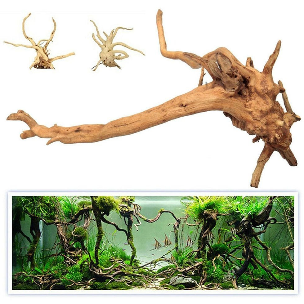 Miniatura: Decorações De Tanque De Peixes De Madeira Natural, Planta Stum Árvore Tronco 