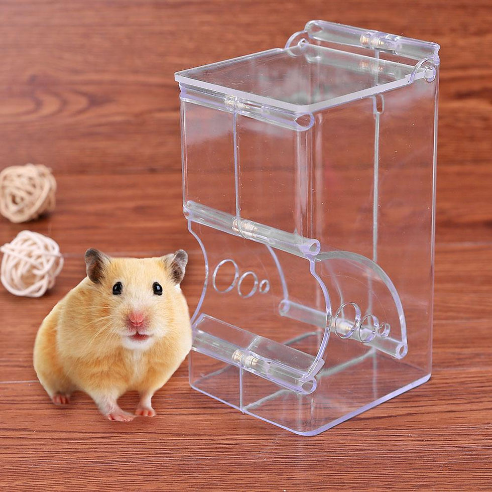 Miniatura: Alimentador Automático Transparente para Hamsters e Pequenos Animais🐾