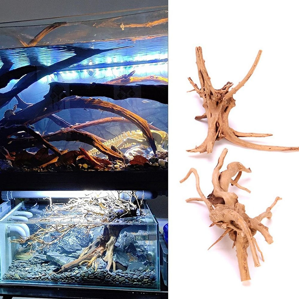 Miniatura: Decorações De Tanque De Peixes De Madeira Natural, Planta Stum Árvore Tronco 