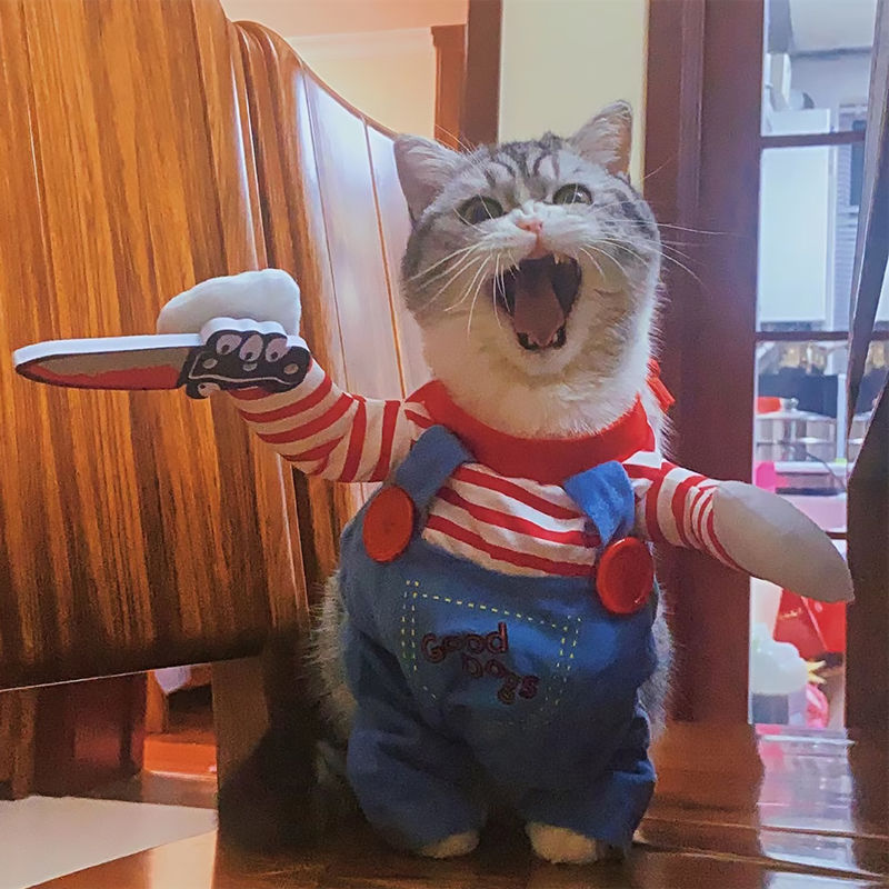 Miniatura: Engraçado roupas de gato halloween cosplay trajes para pequenos cães médios g