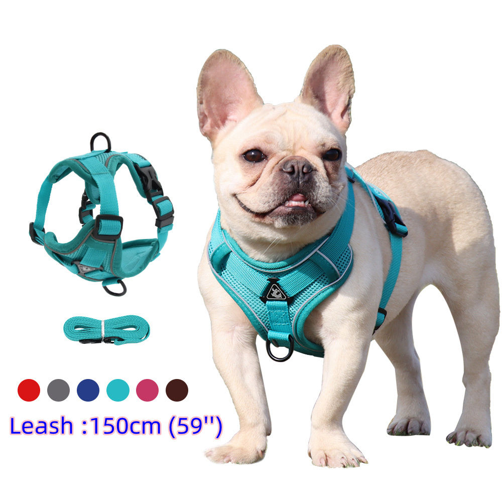 Conjunto de arnês e coleira para animais de estimação, acessórios para cães