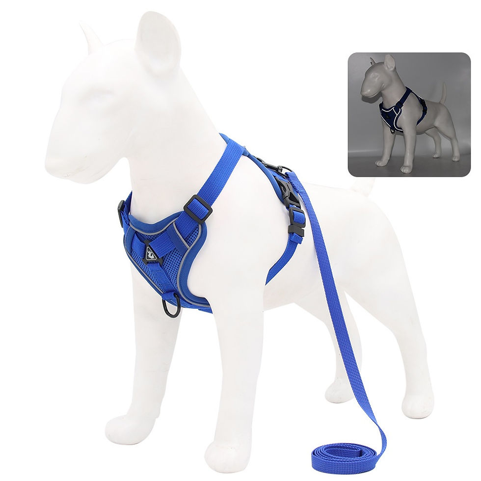 Miniatura: Conjunto de arnês e coleira para animais de estimação, acessórios para cães