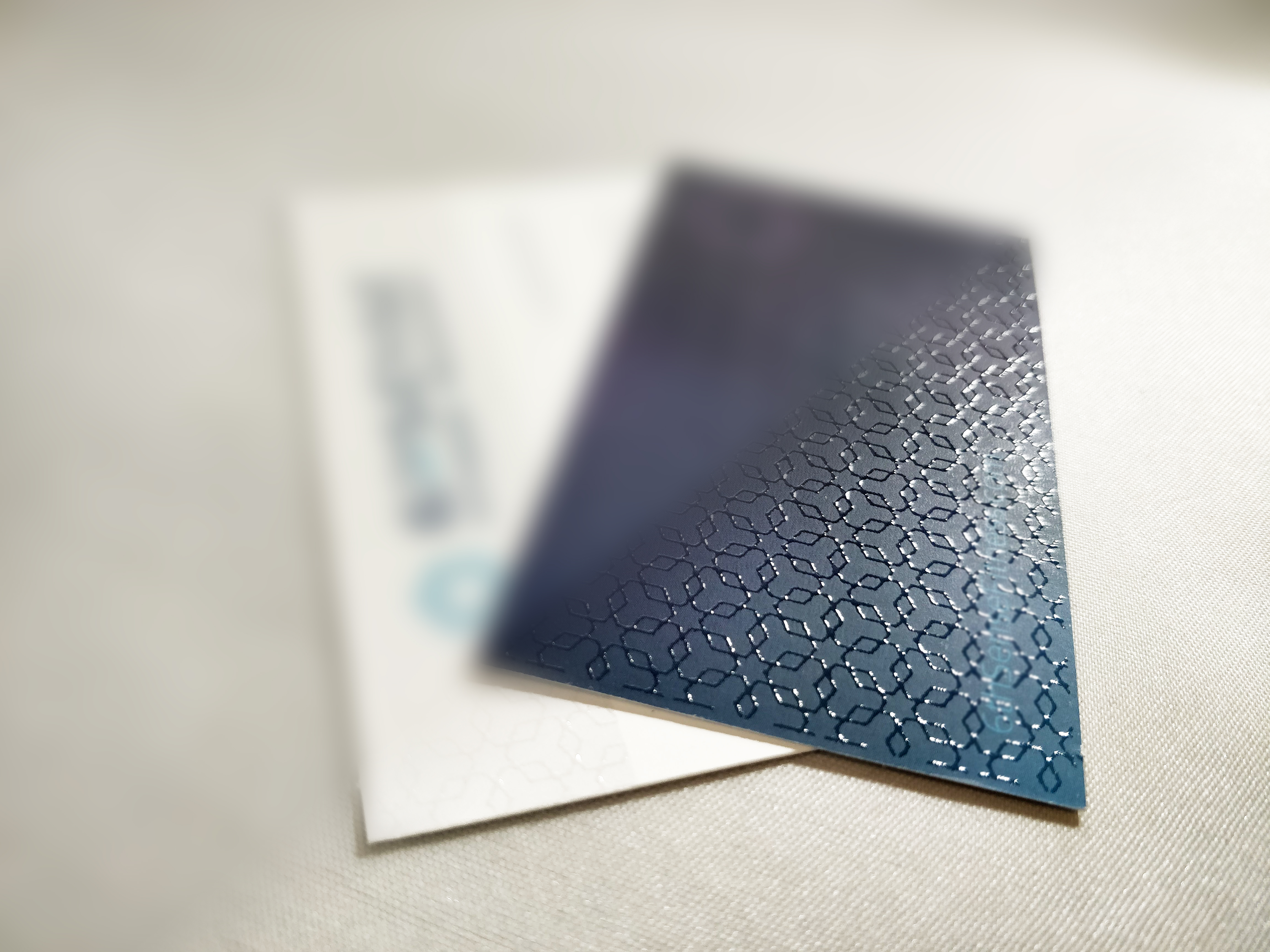 Business Card Vivid UV (Scodix)