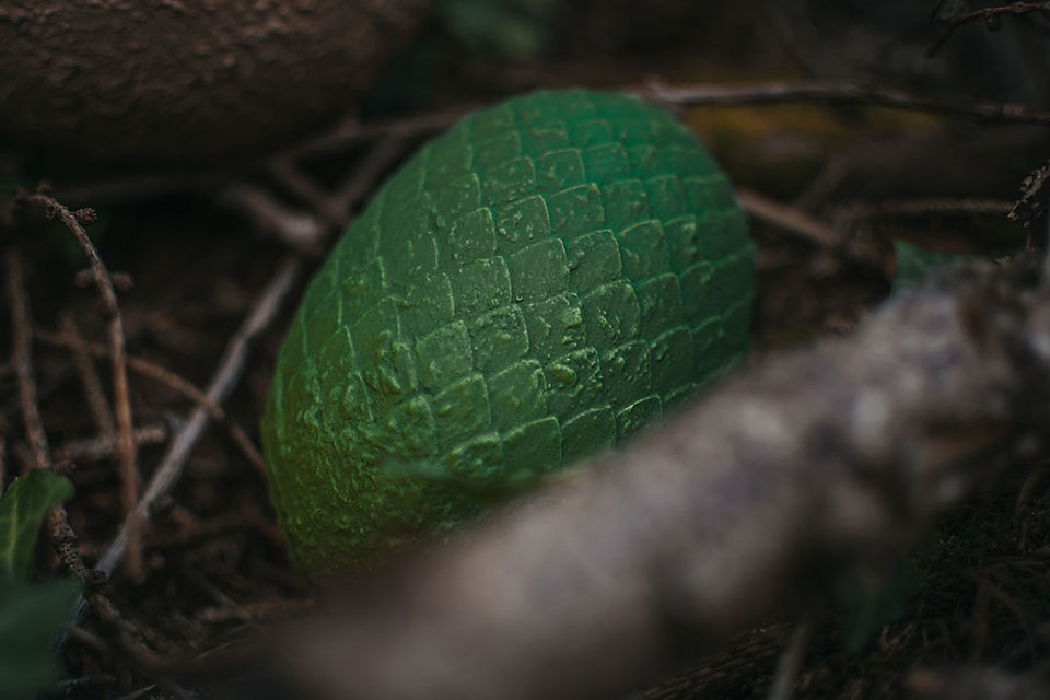 Œuf de dragon vert, posé en forêt.
