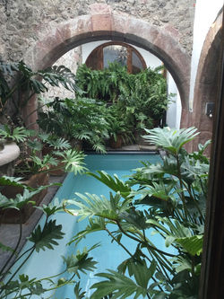 Casa Adelita dipping pool
