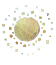 太陽.png