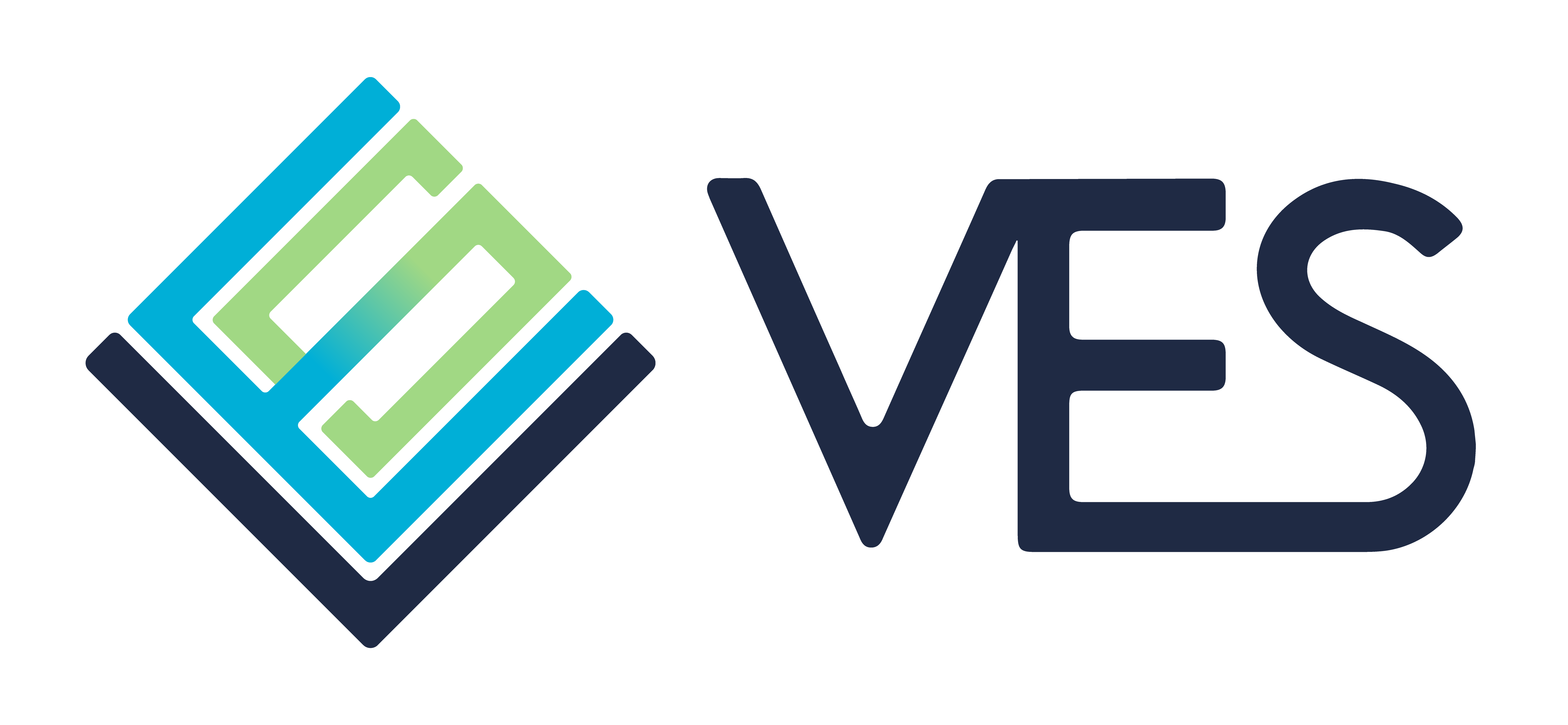 VES LLC