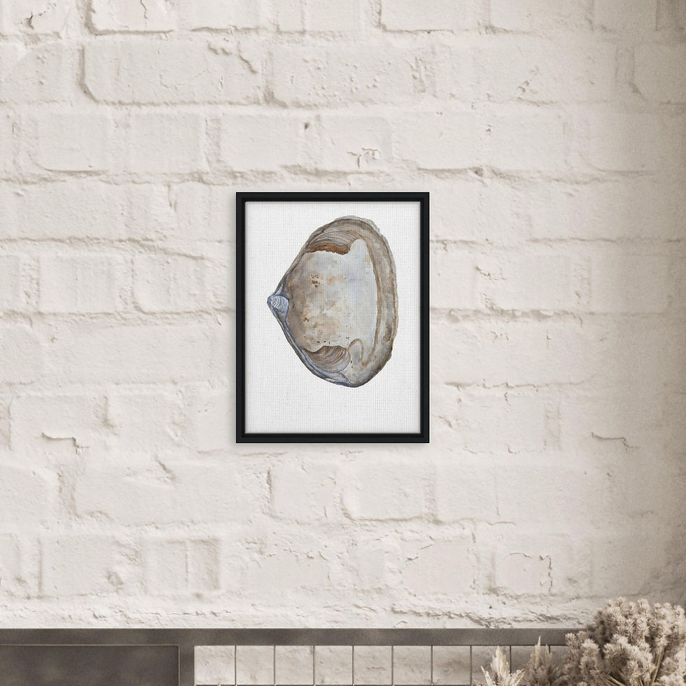 Thumbnail: Gray Rust Clam Shell framed Canvas Print | Coastal Cottage Wall Art