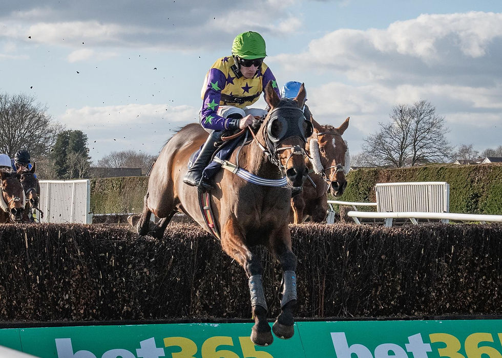 Innisfree Lad under Theo Gillard on his way to victory in the Vickers.Bet Independent Family Owned Bookmaker Conditional Jockeys' Veterans' Handicap Chase at Hereford in February 2023