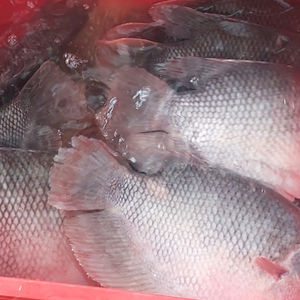 GettyImages-1190411433_edit 1.jpg