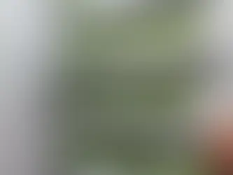 Budidaya Sayuran Hidroponic