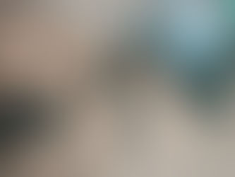 Pakan Terbaik Untuk Ayam Kampung