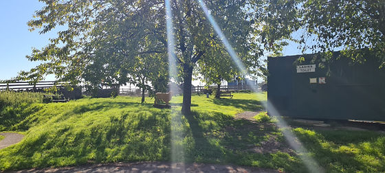 20200721_085506.jpg