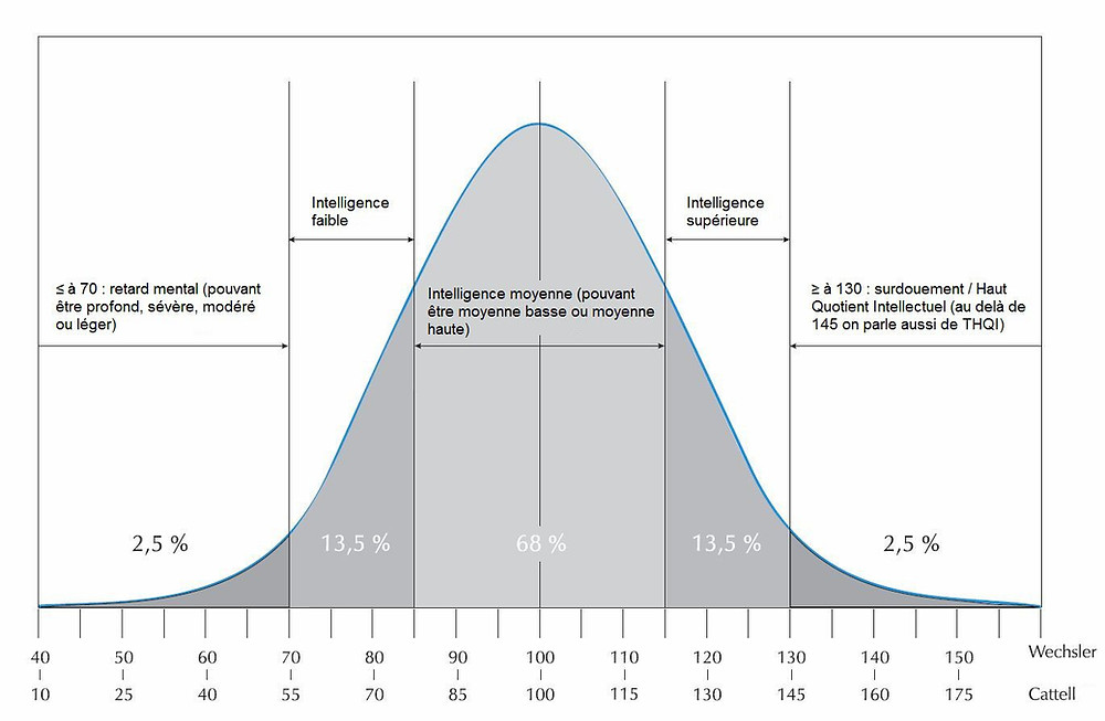 En quoi consiste un test de QI