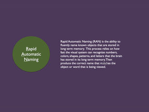 Rapid Automatic Learning