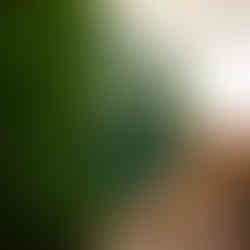 咖啡室裝飾 植物擺設