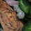 Thumbnail: |Peach Moonstone & Multi-Gemstone| Hand Knotted Necklace