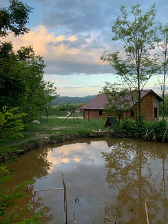 IMG_8940.JPG