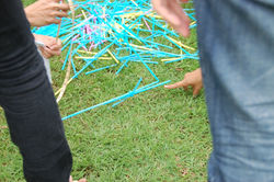 DSC_0061 (1024x681).jpg