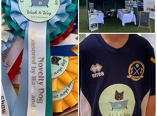 wmremove-transformed (1).jpeg