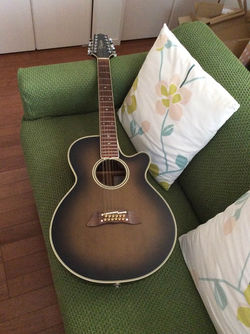 TAKAMINE NPT110-12