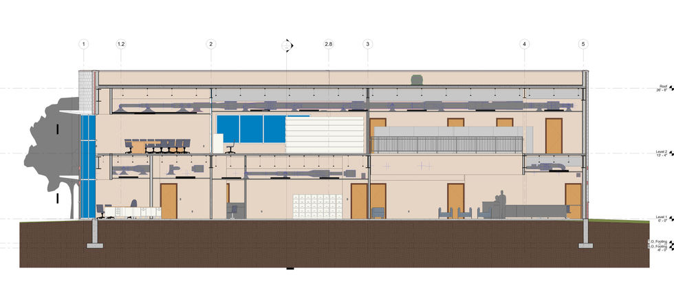 Longitudianl Section