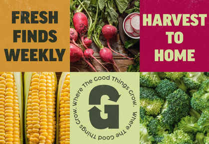 Social Media Graphic