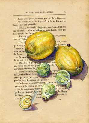 Fruits & légumes 7.jpg