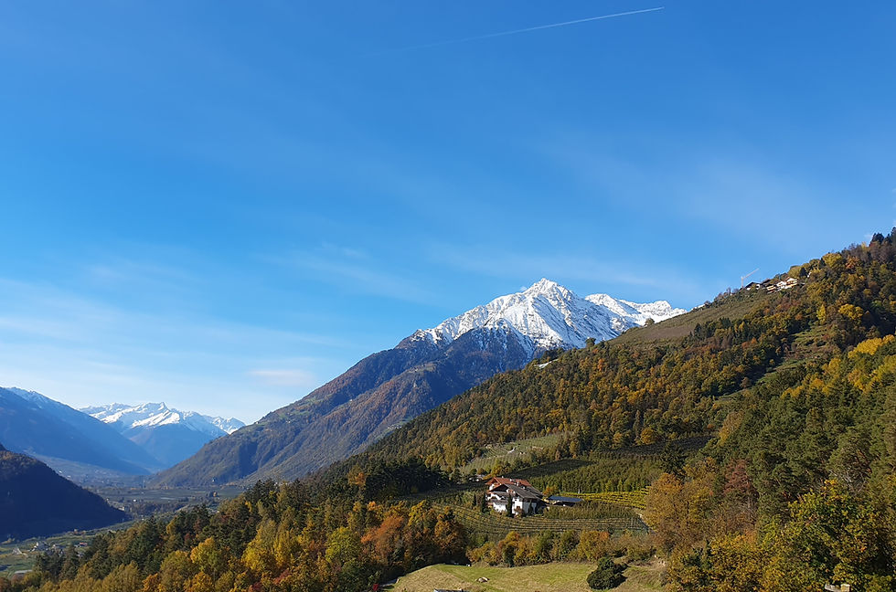 website herbst __.jpg