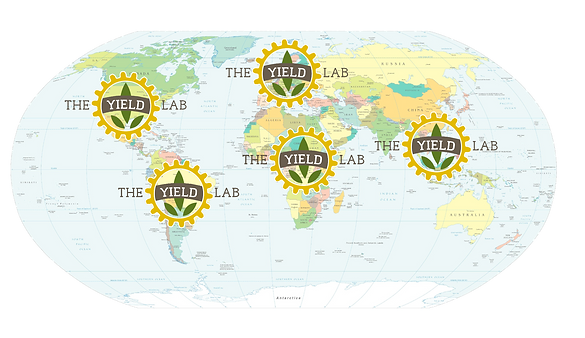 TYL_worldmap_s_f-3_nobackground (2).png