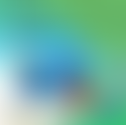 Request for Photography Services