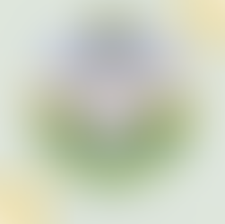 AGS March Break 2025