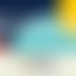 International Day of Multilateralism: civil society groups call for a more democratic UN