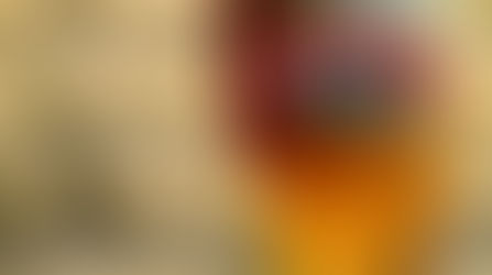 FRANKIES - Limetus - Fruit Ale s čerstvou limetkou 11%