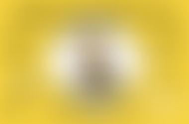 ZLÍNSKÝ ŠVEC - světlá CITRA13%