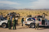 African Safari.png